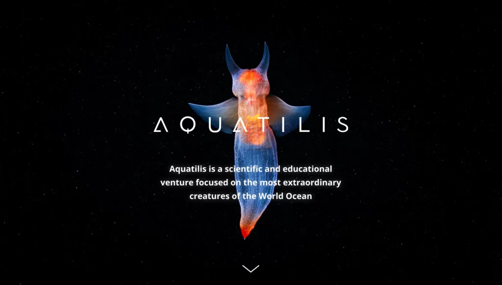 Aquatilis